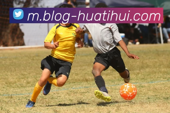 华体会平台生态图